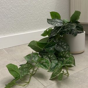 Beautiful White Faux Potted Plant